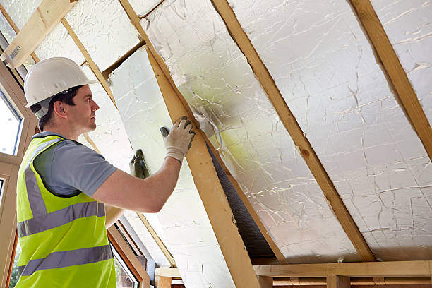 Best Spray Foam Insulation in Oran, MO
